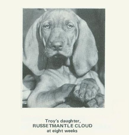 Russetmantle Cloud