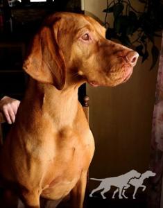 Florencio