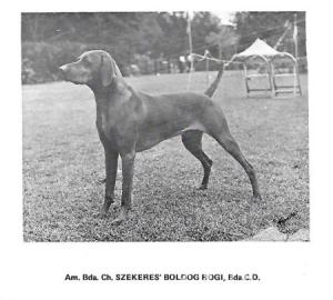 Szekeres' Boldog Rogi