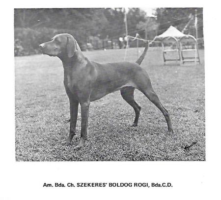 Szekeres' Boldog Rogi