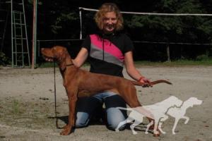 Arcania Rose Torony