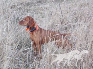 Basalt Bluffs Piper
