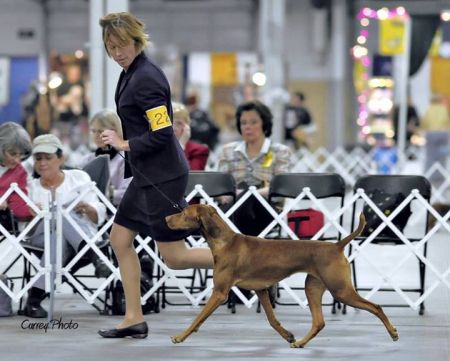 Red River's In The Moment