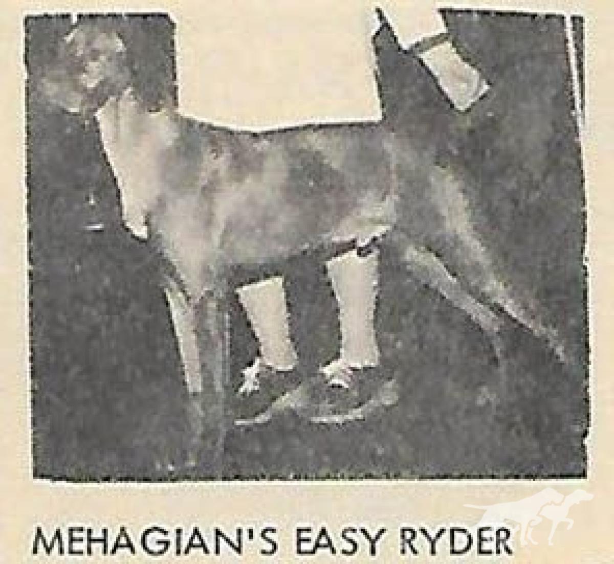 Mehagian's Easy Ryder