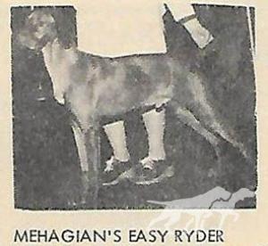 Mehagian's Easy Ryder