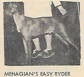 Mehagian's Easy Ryder