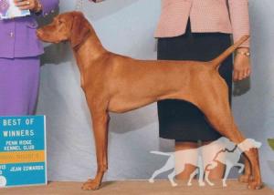 Cameo's Secret Agent 'M'