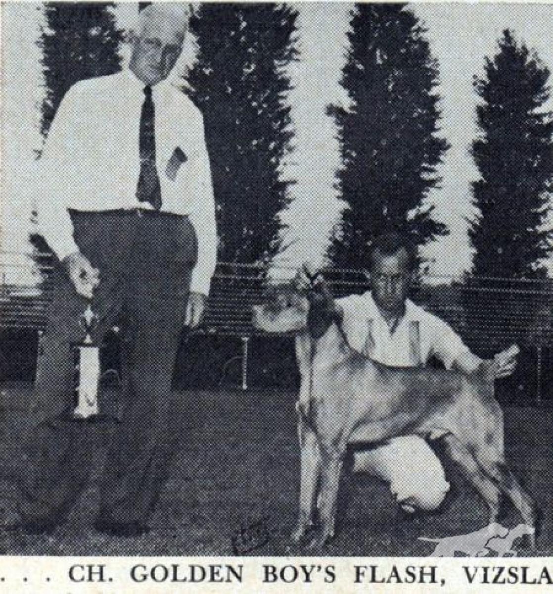 Golden Boys Flash