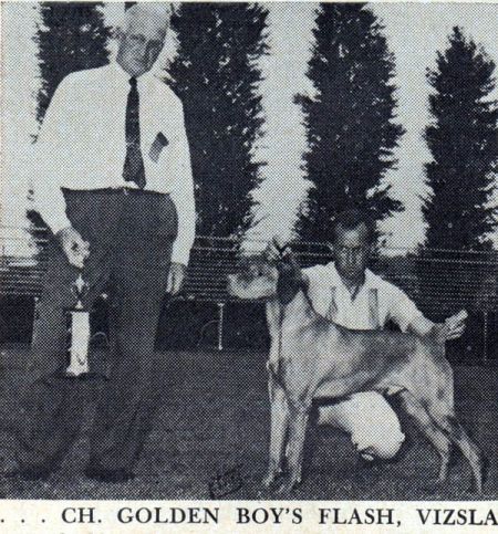 Golden Boys Flash