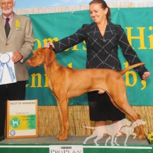 Szizlin Smith & Wesson's Make My Day