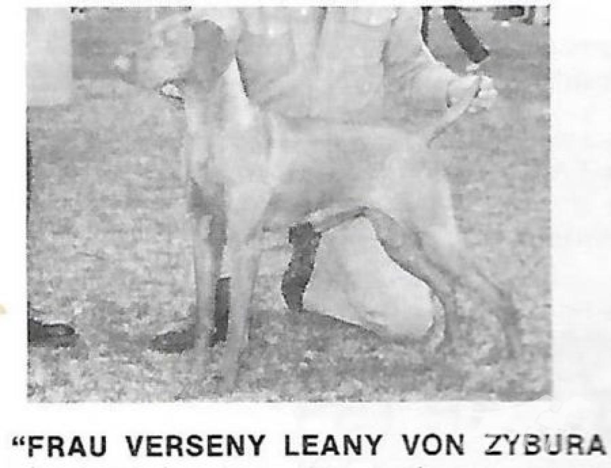 Frau Verseny Leany Von Zybura