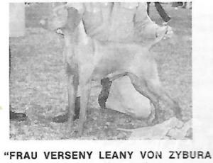 Frau Verseny Leany Von Zybura
