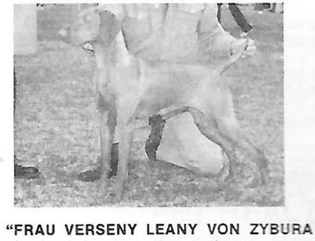 Frau Verseny Leany Von Zybura