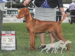 Cameo's Russet Leather Ropin' The Wind