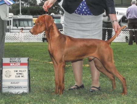 Cameo's Russet Leather Ropin' The Wind