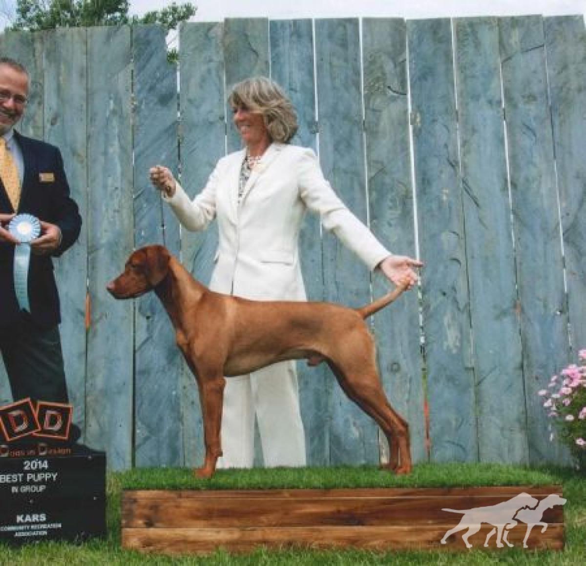 Legacy's Winner Takes All