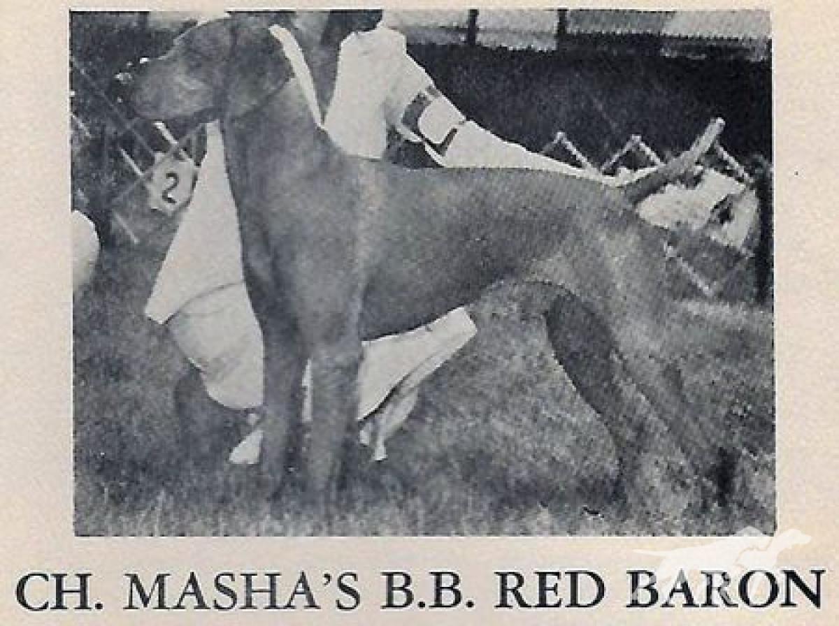 Masha's BB Red Baron