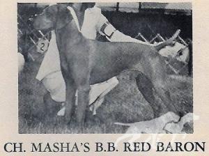 Masha's BB Red Baron