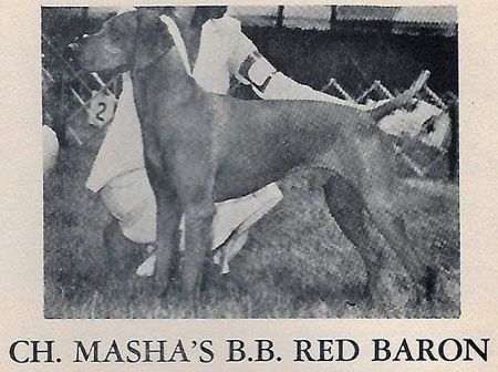 Masha's BB Red Baron