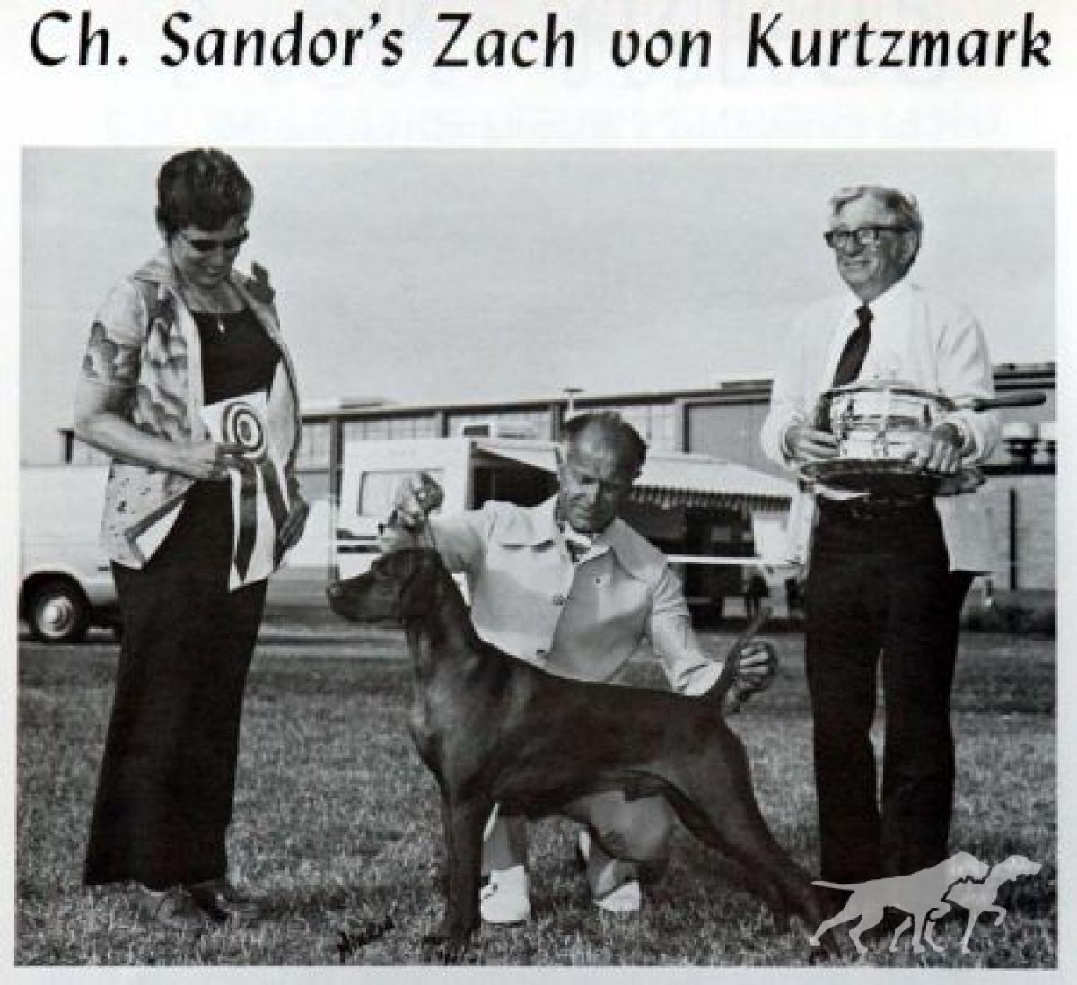 Sandor's Zach von Kurtzmark