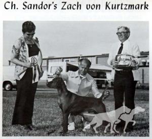 Sandor's Zach von Kurtzmark