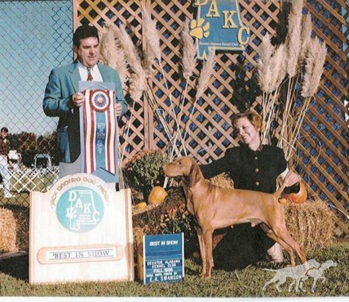 Bowcot Norman City Slicker