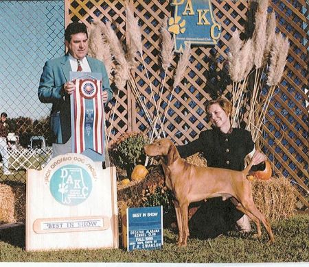 Bowcot Norman City Slicker