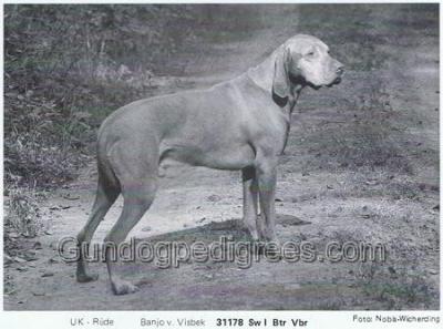 Image of Banjo von Visbek