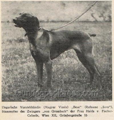 Image of Besa