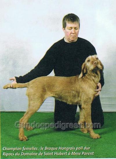 Image of Ripacs du Domaine Saint Hubert