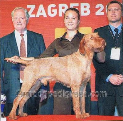 Image of Zöldmáli Iram