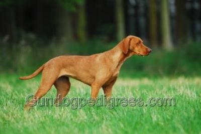 Image of Apollonia von den Reithen