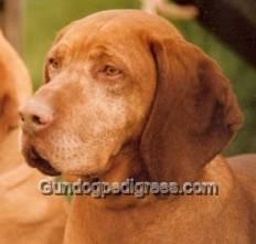 Image of Caro von Bahlen