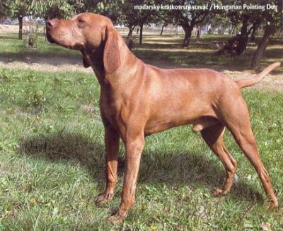 Image of Eron Garamparty
