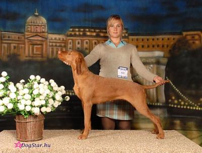 Image of Hejöcsabai Pikáns