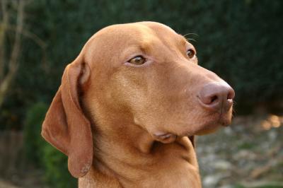 Image of Eszti van 't Oetervelt