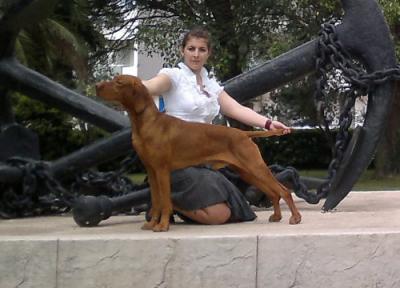 Image of Unicum of Skyrocket