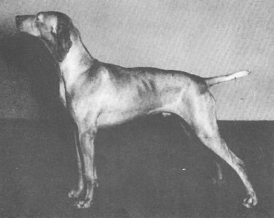 Image of Swanside Miklos