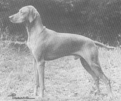 Image of Gardenway Drumlargen