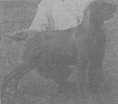 Image of Castlefield Windmill Girl