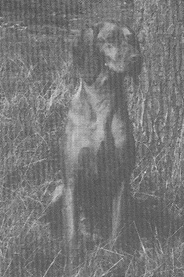 Image of Russetmantle Mace