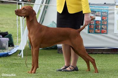 Image of Graebrook Dzina Mzooni