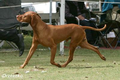 Image of Tanashka Magus Krakajak