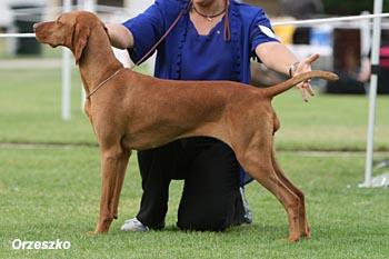 Image of Heiderst Angel Ofmine