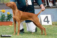 Image of Kimlise Ronay