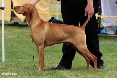 Image of Iceana Gold Point