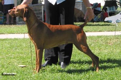 Image of Kimlise Mariah