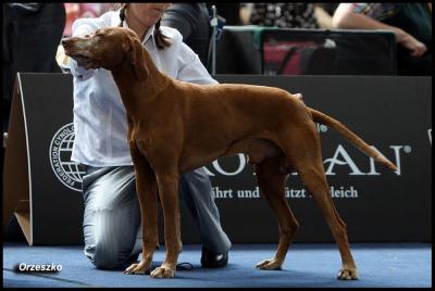 Image of Loco z Pufiho Parku