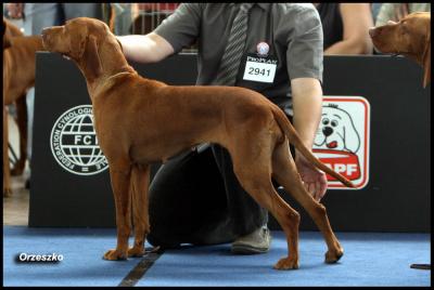 Image of A'lora Boglarca