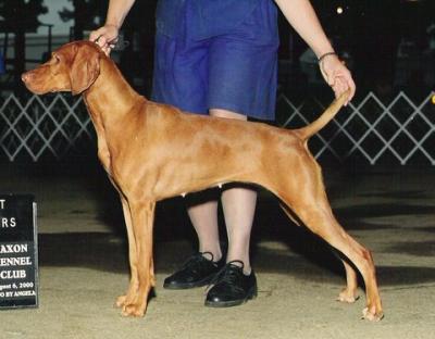 Image of Paradox What Else